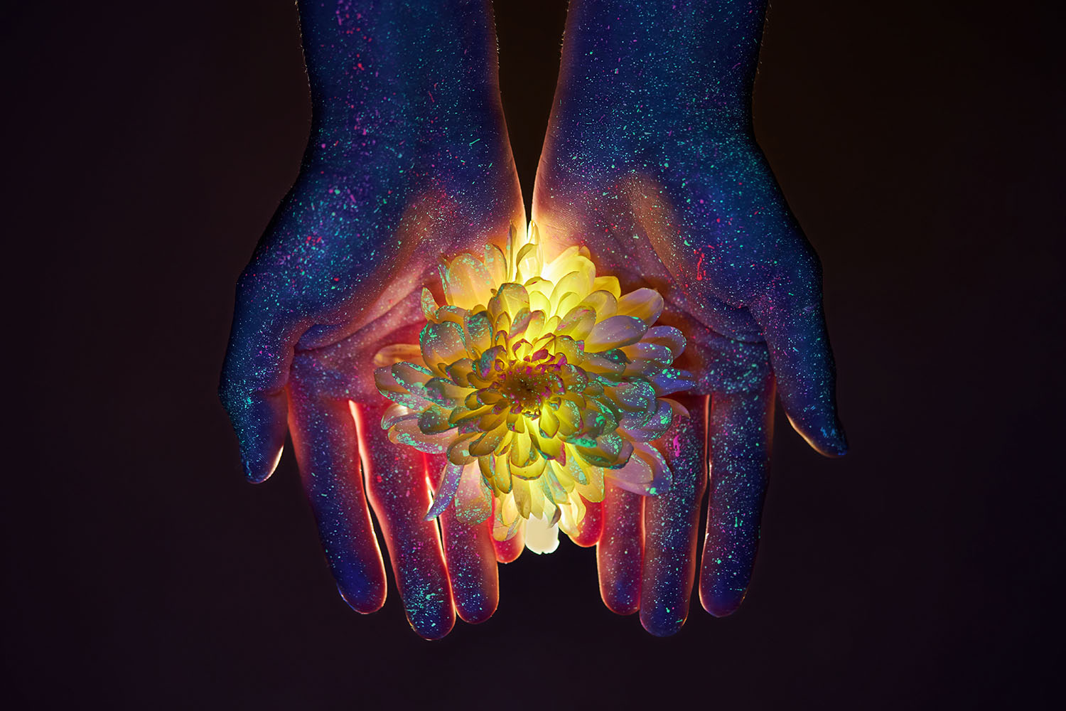 Embody by naomi webimage 6